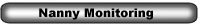 Private Dectective Liverpool - Nanny Surveillance Services 2